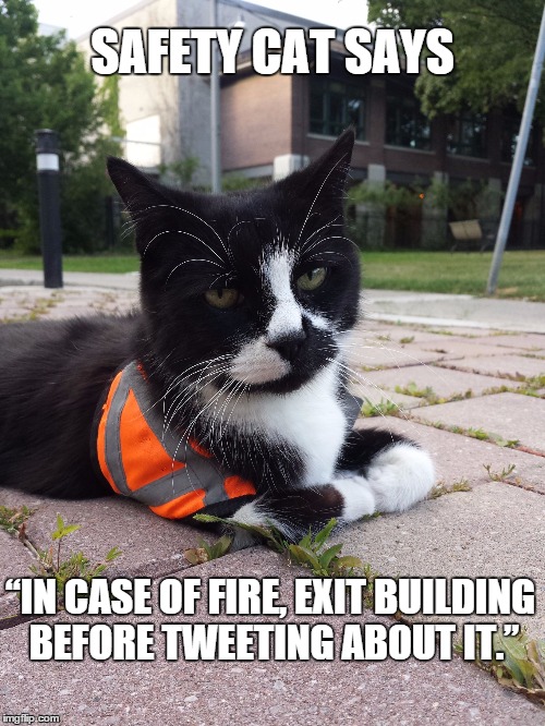 Safety Cat on Tweeting | SAFETY CAT SAYS “IN CASE OF FIRE, EXIT BUILDING BEFORE TWEETING ABOUT IT.” | image tagged in safety cat,twitter,fire | made w/ Imgflip meme maker