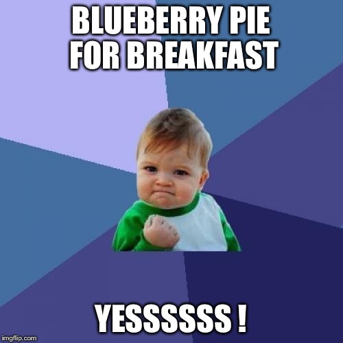 Success Kid Meme | BLUEBERRY PIE FOR BREAKFAST YESSSSSS ! | image tagged in memes,success kid | made w/ Imgflip meme maker