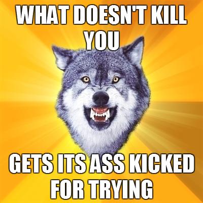 Courage Wolf Meme | image tagged in memes,courage wolf