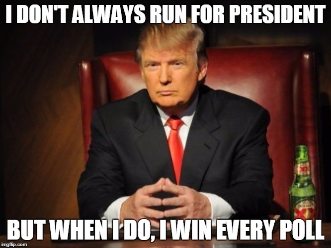I don't always run for president | I DON'T ALWAYS RUN FOR PRESIDENT BUT WHEN I DO, I WIN EVERY POLL | image tagged in donald trump,the most interesting man in the world,trump,president,election 2016,memes | made w/ Imgflip meme maker