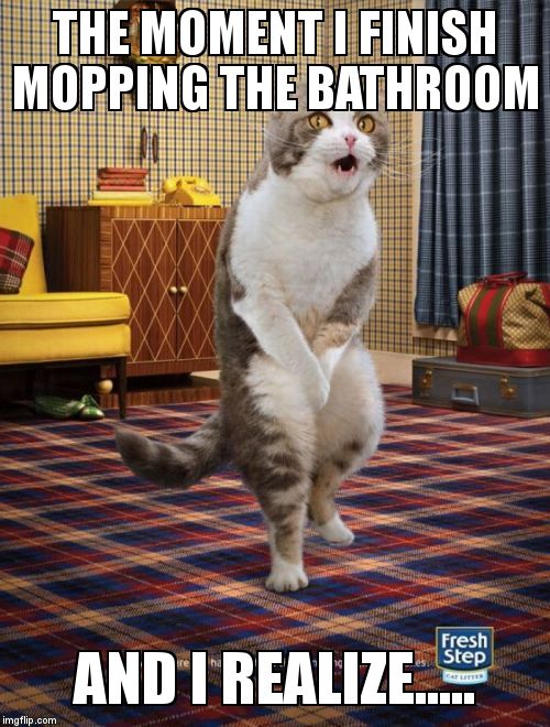 Gotta Go Cat Meme | THE MOMENT I FINISH MOPPING THE BATHROOM AND I REALIZE..... | image tagged in memes,gotta go cat | made w/ Imgflip meme maker