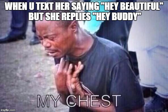 WHEN U TEXT HER SAYING "HEY BEAUTIFUL" BUT SHE REPLIES "HEY BUDDY" | image tagged in funny memes,memes,i love you,forever alone,friendzone | made w/ Imgflip meme maker