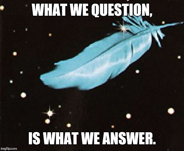 WHAT WE QUESTION, IS WHAT WE ANSWER. | image tagged in illusions | made w/ Imgflip meme maker