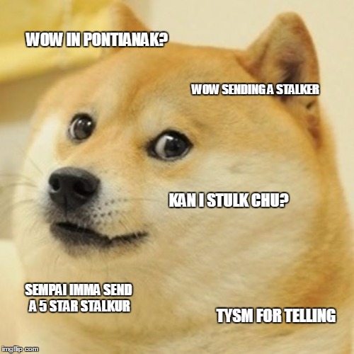 Doge Meme | WOW IN PONTIANAK? WOW SENDING A STALKER KAN I STULK CHU? SEMPAI IMMA SEND A 5 STAR STALKUR TYSM FOR TELLING | image tagged in memes,doge | made w/ Imgflip meme maker