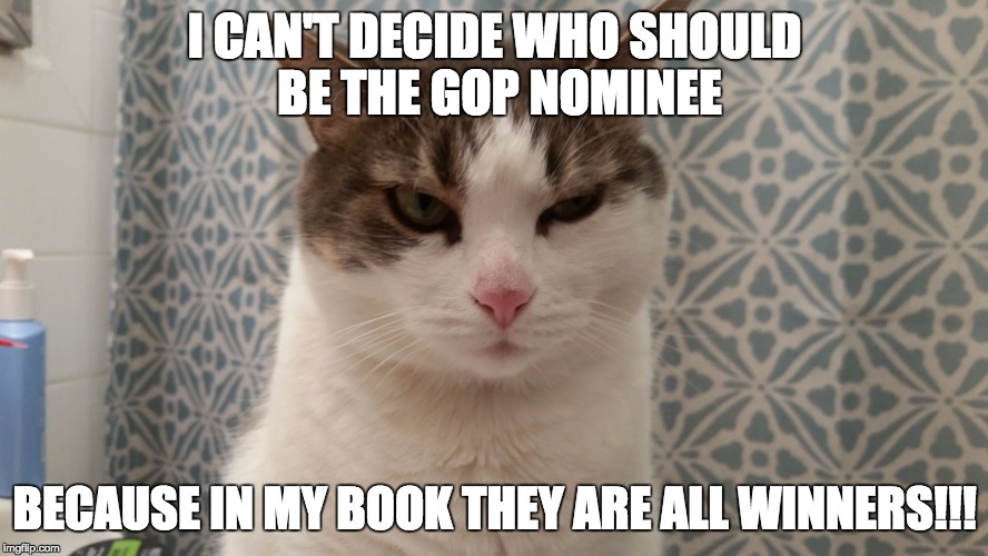 cat ain't having it | I CAN'T DECIDE WHO SHOULD BE THE GOP NOMINEE BECAUSE IN MY BOOK THEY ARE ALL WINNERS!!! | image tagged in politics,gop,losers,clown bus,shitstorm | made w/ Imgflip meme maker