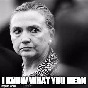 hitlary or hillary | I KNOW WHAT YOU MEAN | image tagged in hitlary or hillary | made w/ Imgflip meme maker