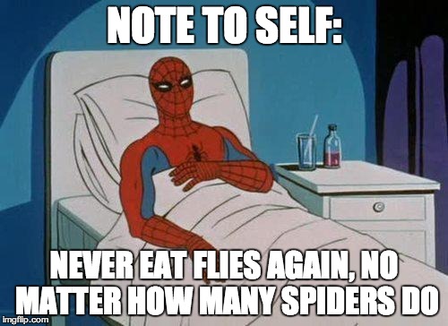 Spiderman Hospital | NOTE TO SELF: NEVER EAT FLIES AGAIN, NO MATTER HOW MANY SPIDERS DO | image tagged in memes,spiderman hospital,spiderman | made w/ Imgflip meme maker