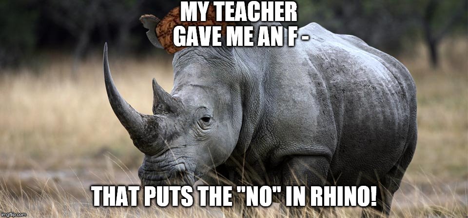 rhino | MY TEACHER GAVE ME AN F - THAT PUTS THE "NO" IN RHINO! | image tagged in rhino,scumbag | made w/ Imgflip meme maker