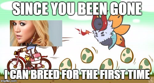 SINCE YOU BEEN GONE I CAN BREED FOR THE FIRST TIME | image tagged in breedin' | made w/ Imgflip meme maker