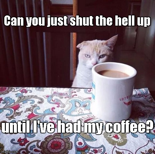 Cat Doesn't Like this Coffee | Can you just shut the hell up until I've had my coffee? | image tagged in cat doesn't like this coffee | made w/ Imgflip meme maker