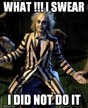 Beetlejuice | WHAT !!! I SWEAR I DID NOT DO IT | image tagged in beetlejuice | made w/ Imgflip meme maker