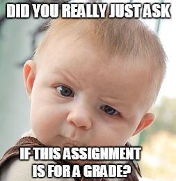 Skeptical Baby Meme | DID YOU REALLY JUST ASK IF THIS ASSIGNMENT IS FOR A GRADE? | image tagged in memes,skeptical baby | made w/ Imgflip meme maker
