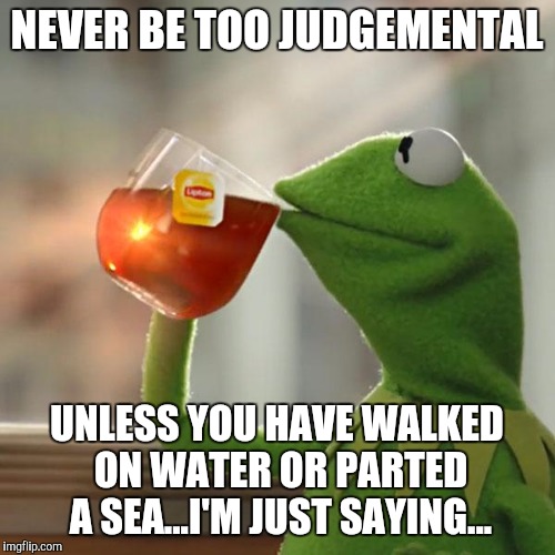 But That's None Of My Business | NEVER BE TOO JUDGEMENTAL UNLESS YOU HAVE WALKED ON WATER OR PARTED A SEA...I'M JUST SAYING... | image tagged in memes,but thats none of my business,kermit the frog | made w/ Imgflip meme maker