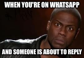 Kevin Hart | WHEN YOU'RE ON WHATSAPP AND SOMEONE IS ABOUT TO REPLY | image tagged in memes,kevin hart the hell | made w/ Imgflip meme maker