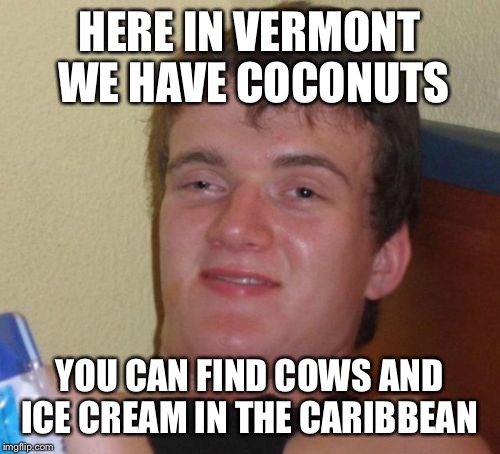 An episode of Henry Danger gave me an idea | HERE IN VERMONT WE HAVE COCONUTS YOU CAN FIND COWS AND ICE CREAM IN THE CARIBBEAN | image tagged in memes,10 guy | made w/ Imgflip meme maker