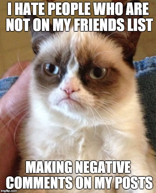 Grumpy Cat | I HATE PEOPLE WHO ARE NOT ON MY FRIENDS LIST MAKING NEGATIVE COMMENTS ON MY POSTS | image tagged in memes,grumpy cat | made w/ Imgflip meme maker
