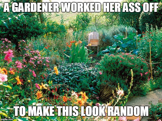 garden | A GARDENER WORKED HER ASS OFF TO MAKE THIS LOOK RANDOM | image tagged in garden | made w/ Imgflip meme maker