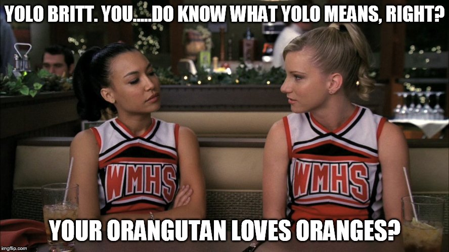 YOLO BRITT. YOU.....DO KNOW WHAT YOLO MEANS, RIGHT? YOUR ORANGUTAN LOVES ORANGES? | image tagged in yolo,glee | made w/ Imgflip meme maker