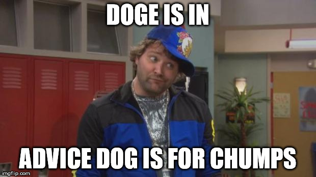 X is in, Y is for chumps | DOGE IS IN ADVICE DOG IS FOR CHUMPS | image tagged in x is in y is for chumps | made w/ Imgflip meme maker