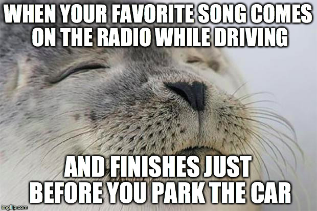 Satisfied Seal | WHEN YOUR FAVORITE SONG COMES ON THE RADIO WHILE DRIVING AND FINISHES JUST BEFORE YOU PARK THE CAR | image tagged in memes,satisfied seal,AdviceAnimals | made w/ Imgflip meme maker