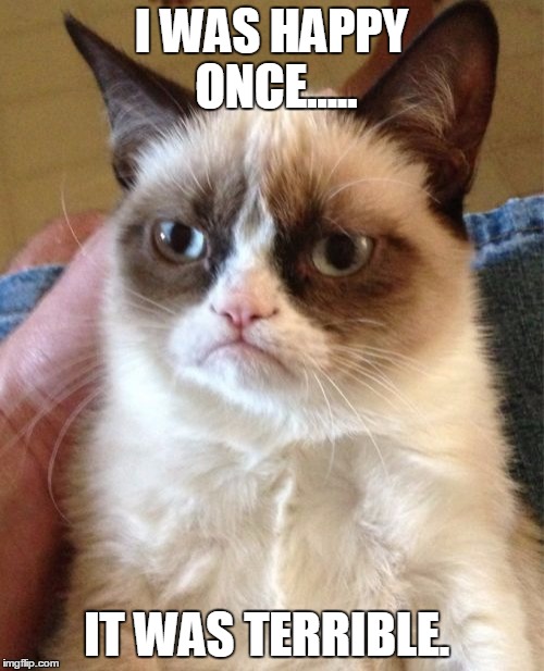 Grumpy Cat | I WAS HAPPY ONCE..... IT WAS TERRIBLE. | image tagged in memes,grumpy cat | made w/ Imgflip meme maker