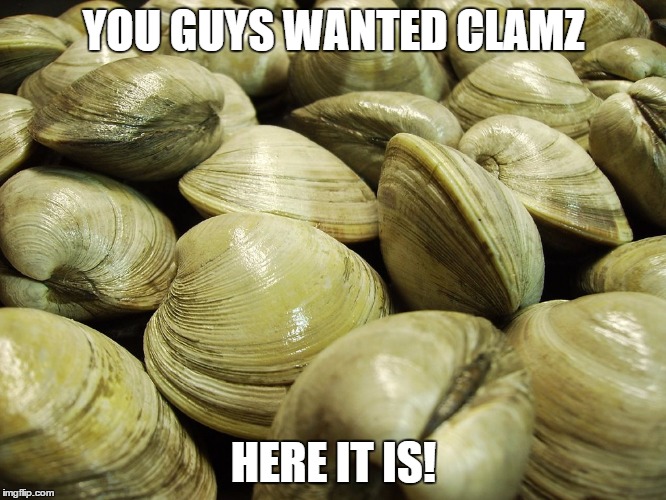 YOU GUYS WANTED CLAMZ HERE IT IS! | image tagged in clams | made w/ Imgflip meme maker