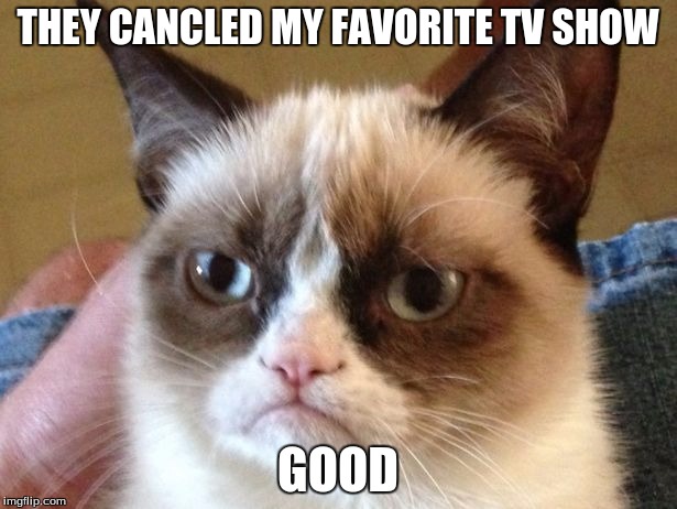 THEY CANCLED MY FAVORITE TV SHOW GOOD | image tagged in grumpy cat | made w/ Imgflip meme maker