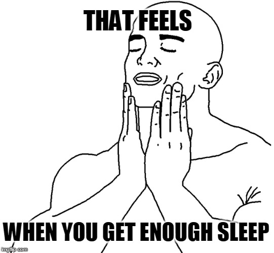 Sleep, fugg yeah | THAT FEELS WHEN YOU GET ENOUGH SLEEP | image tagged in sleep,so good,feels | made w/ Imgflip meme maker