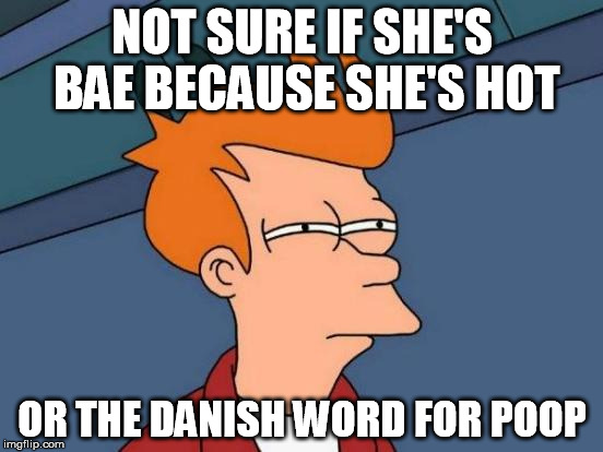 Futurama Fry Meme | NOT SURE IF SHE'S BAE BECAUSE SHE'S HOT OR THE DANISH WORD FOR POOP | image tagged in memes,futurama fry | made w/ Imgflip meme maker