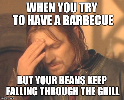 Frustrated Boromir Meme | WHEN YOU TRY TO HAVE A BARBECUE BUT YOUR BEANS KEEP FALLING THROUGH THE GRILL | image tagged in memes,frustrated boromir | made w/ Imgflip meme maker