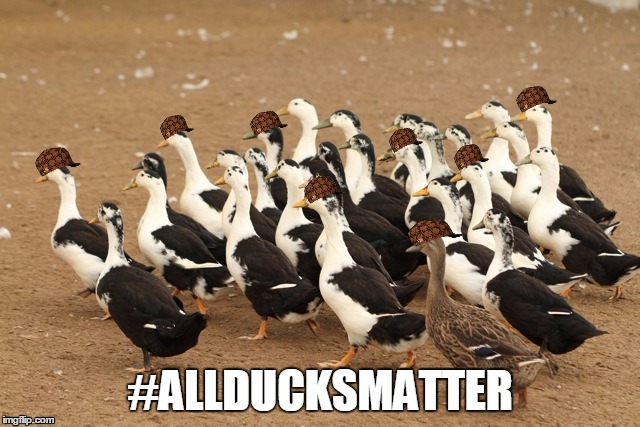 all ducks matter | #ALLDUCKSMATTER | image tagged in all ducks matter,scumbag | made w/ Imgflip meme maker
