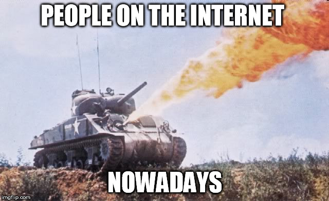 This is a meme site not a World War! | PEOPLE ON THE INTERNET NOWADAYS | image tagged in flame war,meme,true story | made w/ Imgflip meme maker