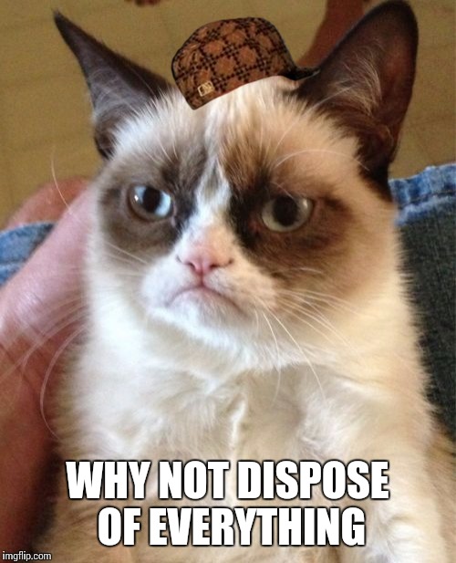 Grumpy Cat Meme | WHY NOT DISPOSE OF EVERYTHING | image tagged in memes,grumpy cat,scumbag | made w/ Imgflip meme maker