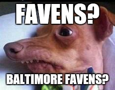 lisp dog | FAVENS? BALTIMORE FAVENS? | image tagged in favens,ravens,baltimore,lisp dog,dog,funny | made w/ Imgflip meme maker
