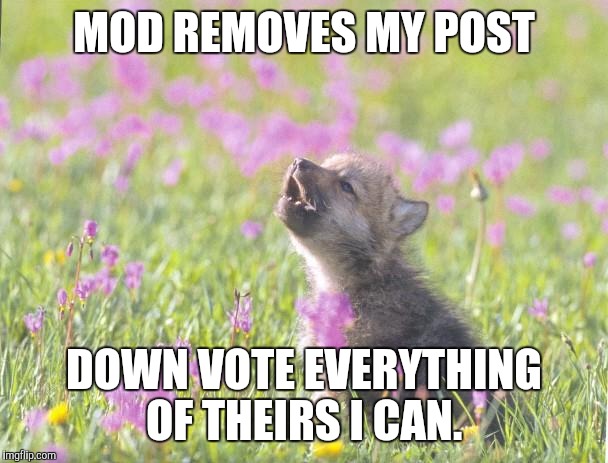 Baby Insanity Wolf | MOD REMOVES MY POST DOWN VOTE EVERYTHING OF THEIRS I CAN. | image tagged in memes,baby insanity wolf | made w/ Imgflip meme maker