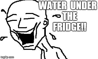 LMAO! | WATER  UNDER  THE  FRIDGE!! | image tagged in lmao | made w/ Imgflip meme maker