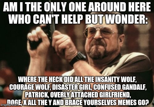 Especially Insanity Wolf and Courage Wolf! In all my time on Imgflip, I haven't seen one of them. Are they going extinct? | AM I THE ONLY ONE AROUND HERE WHO CAN'T HELP BUT WONDER: WHERE THE HECK DID ALL THE INSANITY WOLF, COURAGE WOLF, DISASTER GIRL, CONFUSED GAN | image tagged in memes,am i the only one around here,insanity wolf,courage wolf,imgflip,doge | made w/ Imgflip meme maker