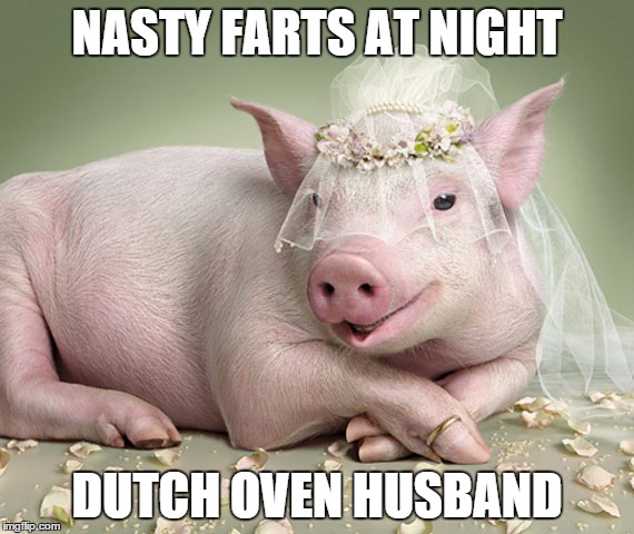 Foul Married Sow | NASTY FARTS AT NIGHT DUTCH OVEN HUSBAND | image tagged in foul married sow | made w/ Imgflip meme maker