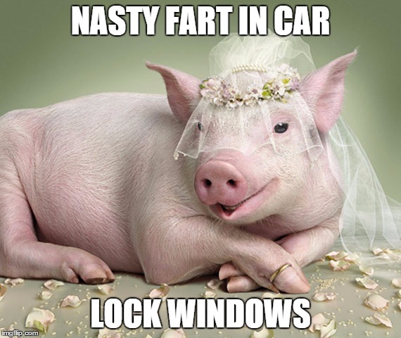 Foul Married Sow | NASTY FART IN CAR LOCK WINDOWS | image tagged in foul married sow | made w/ Imgflip meme maker