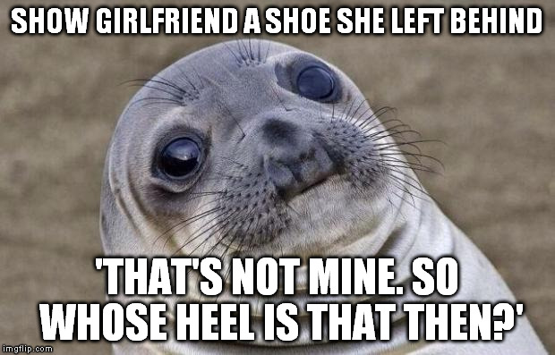 Awkward Moment Sealion Meme | SHOW GIRLFRIEND A SHOE SHE LEFT BEHIND 'THAT'S NOT MINE. SO WHOSE HEEL IS THAT THEN?' | image tagged in memes,awkward moment sealion,AdviceAnimals | made w/ Imgflip meme maker