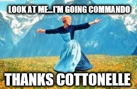 Look At All These Meme | LOOK AT ME...I'M GOING COMMANDO THANKS COTTONELLE | image tagged in memes,look at all these | made w/ Imgflip meme maker