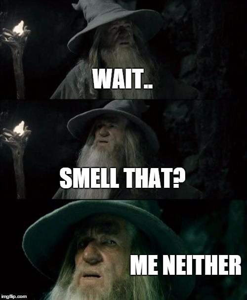 Confused Gandalf Meme | WAIT.. SMELL THAT? ME NEITHER | image tagged in memes,confused gandalf | made w/ Imgflip meme maker