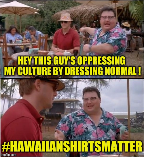 See Nobody Cares | HEY THIS GUY'S OPPRESSING MY CULTURE BY DRESSING NORMAL ! #HAWAIIANSHIRTSMATTER | image tagged in memes,see nobody cares | made w/ Imgflip meme maker