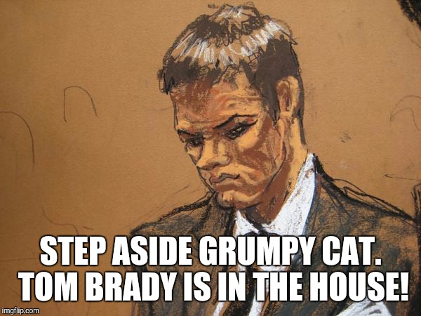 SAD SKETCH TOM BRADY | STEP ASIDE GRUMPY CAT. TOM BRADY IS IN THE HOUSE! | image tagged in sad sketch tom brady | made w/ Imgflip meme maker