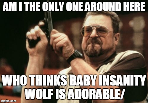 Am I The Only One Around Here | AM I THE ONLY ONE AROUND HERE WHO THINKS BABY INSANITY WOLF IS ADORABLE/ | image tagged in memes,am i the only one around here | made w/ Imgflip meme maker