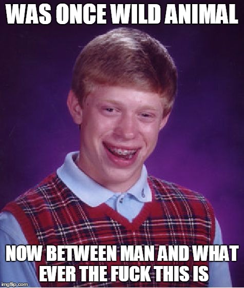 Bad Luck Brian Meme | WAS ONCE WILD ANIMAL NOW BETWEEN MAN AND WHAT EVER THE F**K THIS IS | image tagged in memes,bad luck brian | made w/ Imgflip meme maker