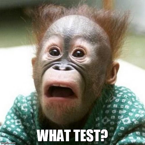 Shocked Monkey | WHAT TEST? | image tagged in shocked monkey | made w/ Imgflip meme maker