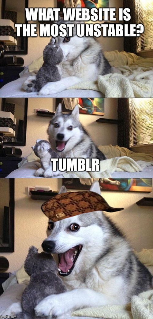 Bad Pun Dog Meme | WHAT WEBSITE IS THE MOST UNSTABLE? TUMBLR | image tagged in memes,bad pun dog,scumbag | made w/ Imgflip meme maker
