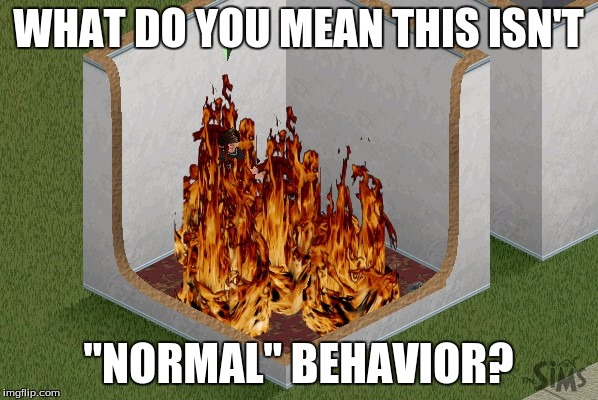 WHAT DO YOU MEAN THIS ISN'T "NORMAL" BEHAVIOR? | made w/ Imgflip meme maker