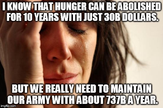 First World Problems Meme | I KNOW THAT HUNGER CAN BE ABOLISHED FOR 10 YEARS WITH JUST 30B DOLLARS. BUT WE REALLY NEED TO MAINTAIN OUR ARMY WITH ABOUT 737B A YEAR. | image tagged in memes,first world problems | made w/ Imgflip meme maker
